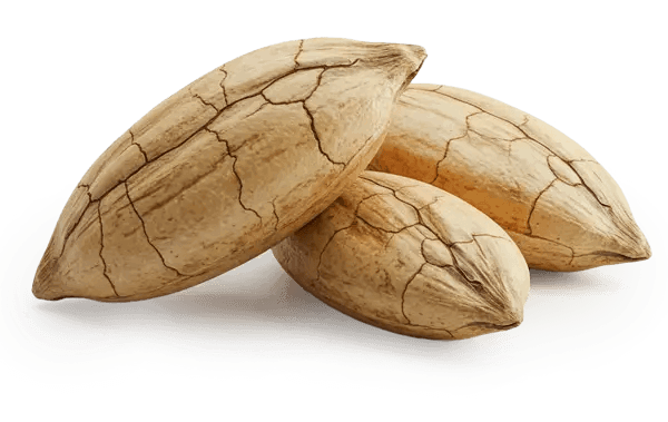 neurogenica™-ingredients-6