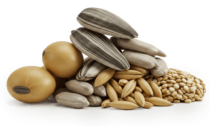 neurogenica™-ingredients-4