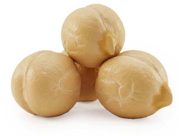 neurogenica™-ingredients-2